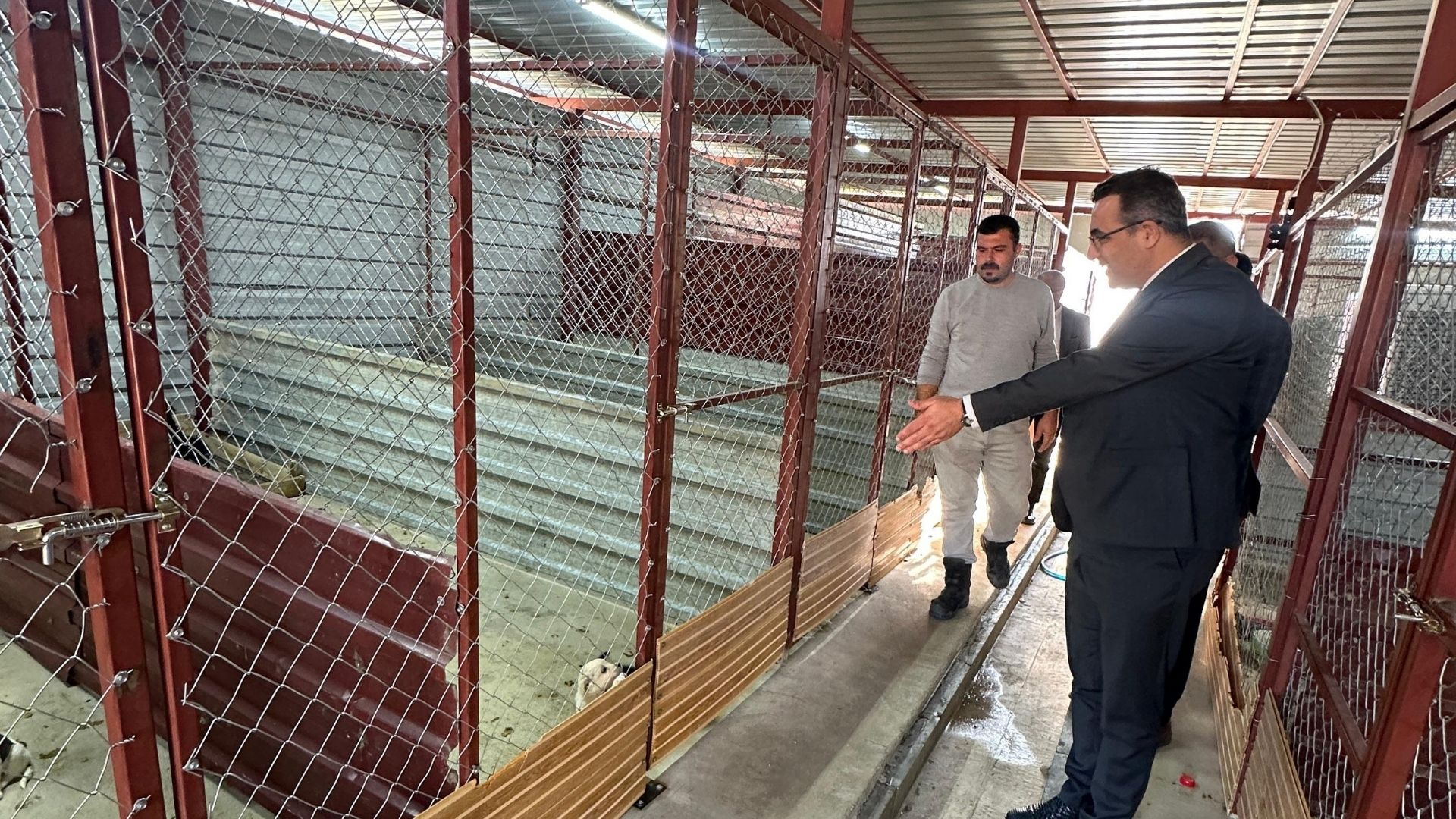 Sarıgöl’de Hayvan Bakım Hizmetleri Yerinde Incelendi (1)