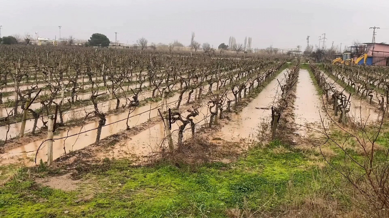 Zi̇lan Web Haber Canva 2026 02 16T111034.641-1