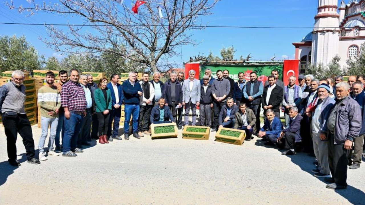 Gördes’te 73 Bin Domates Fidesi Toprakla Buluşuyor1