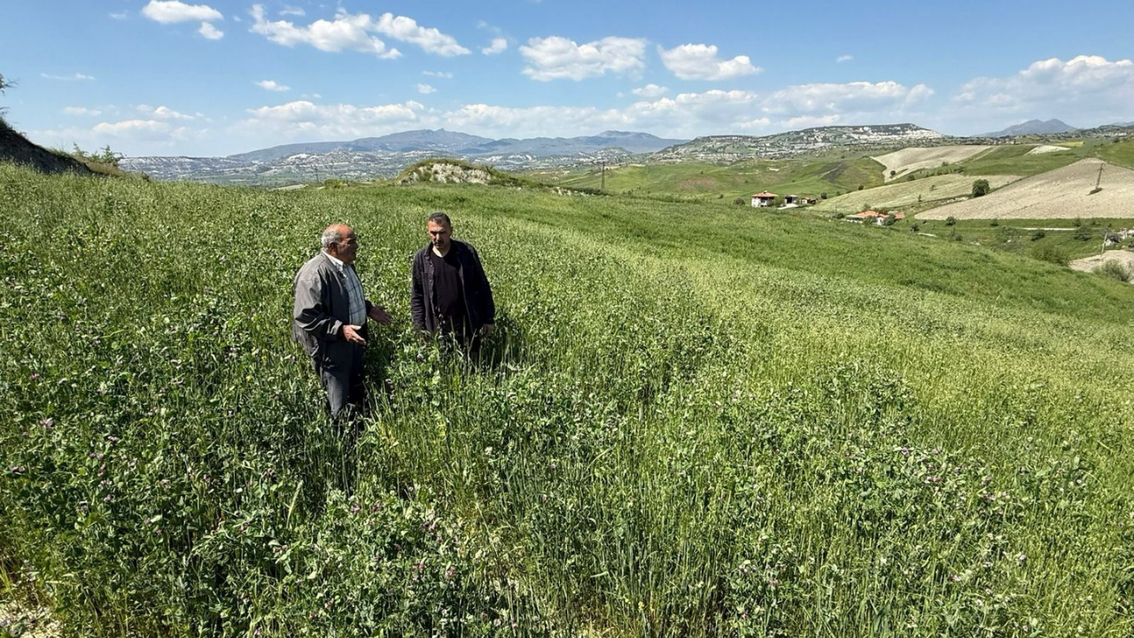 Büyükşehir’in Toprakla Buluşan Tohumları Yeşerdi 1