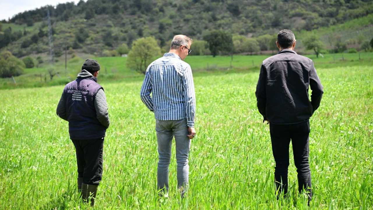 Büyükşehir’in Toprakla Buluşan Tohumları Yeşerdi