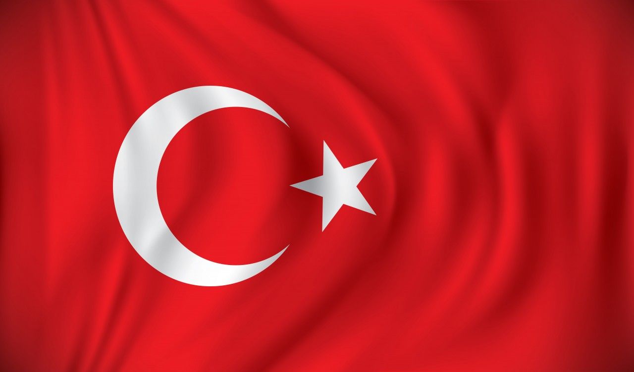 Manisa'da Türk Bayrağı'nı yere atan kişi kameraya yansıdı